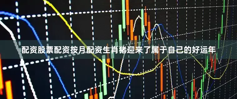 配资股票配资按月配资生肖猪迎来了属于自己的好运年