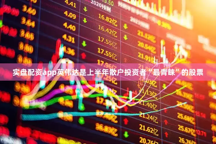 实盘配资app英伟达是上半年散户投资者“最青睐”的股票