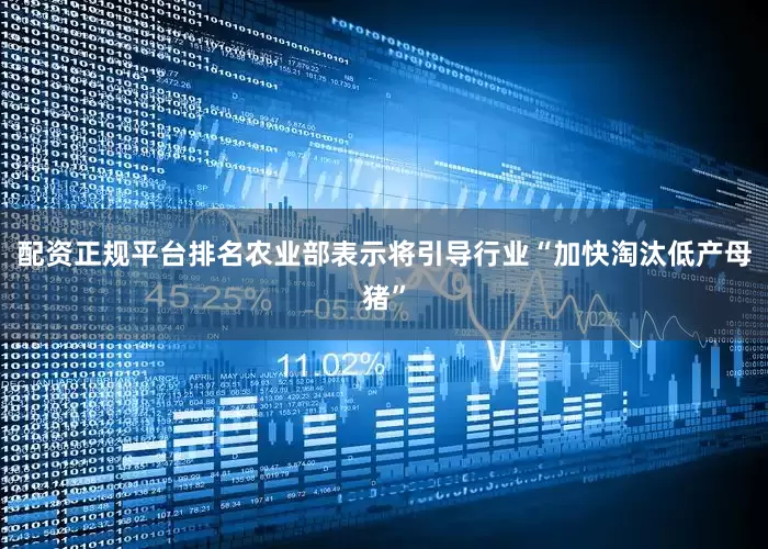 配资正规平台排名农业部表示将引导行业“加快淘汰低产母猪”
